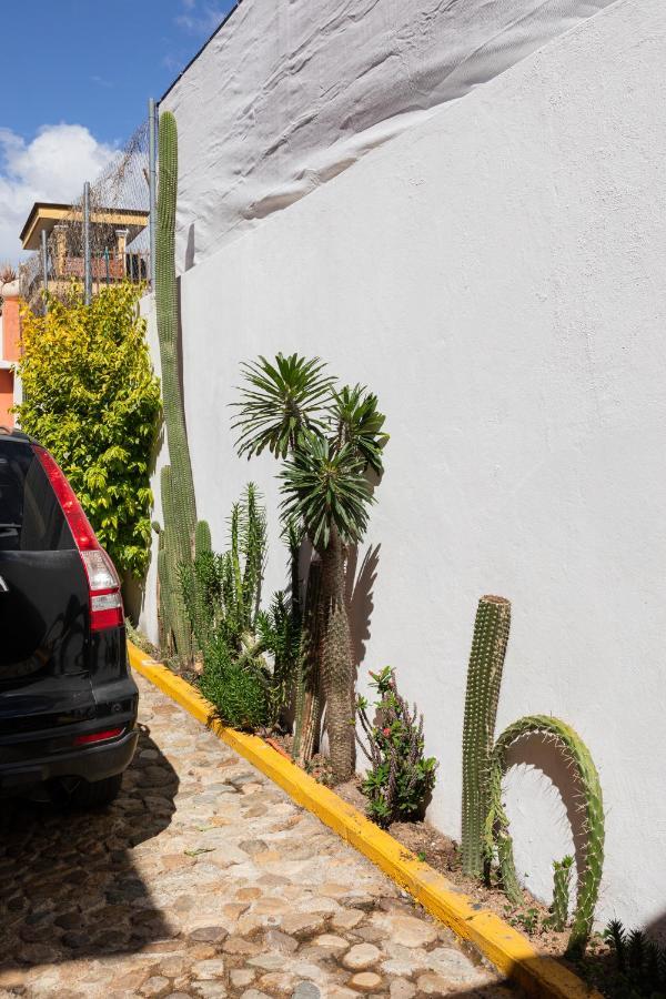 Siento Oaxaca Exterior foto